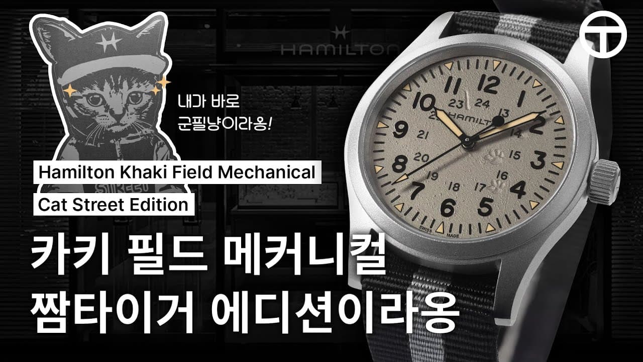 [Made in Korea] The Temptation of Cats | Hamilton Khaki Field Mechanical Cat Street Edition Review
